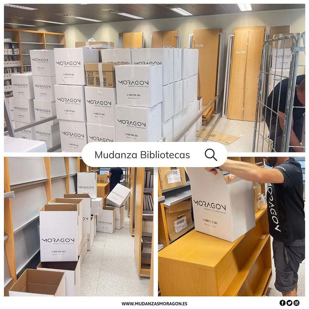 GALERIA - MUDANZAS Y PLATAFORMAS
