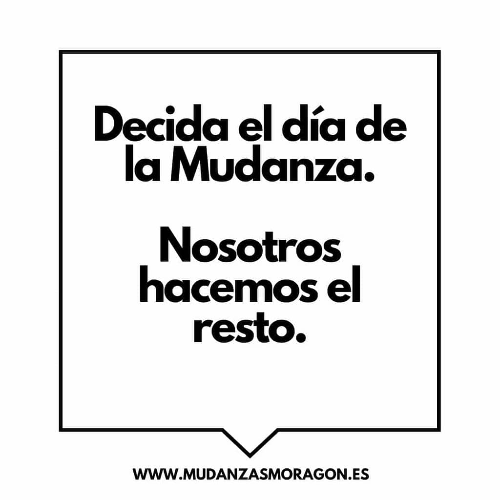 GALERIA - MUDANZAS Y PLATAFORMAS